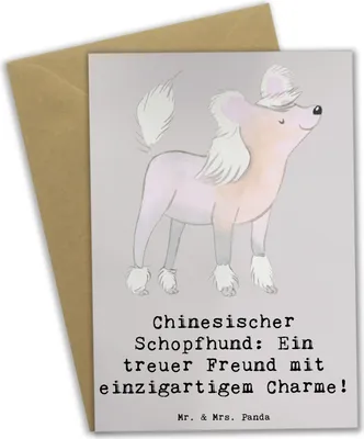 Produktbild von Mr. & Mrs. Panda babykarte Chinesischer Schopfhund Charme - Grau Pastell - Geschenk, Hunderassen Charakter, Grußkarte, einladungskarten, einzigartige Hunderasse, Freude