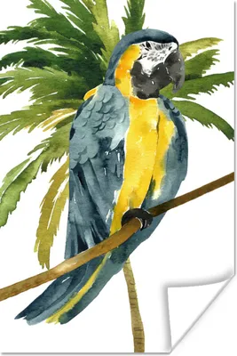 Produktbild von MuchoWow® Poster Dschungel - Papagei - Aquarell 60x90 cm - Wanddekoration