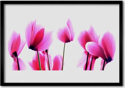 Produktbild von Bild 100x70 MDF-Rahmen Wandkunst Blumen Pflanzen