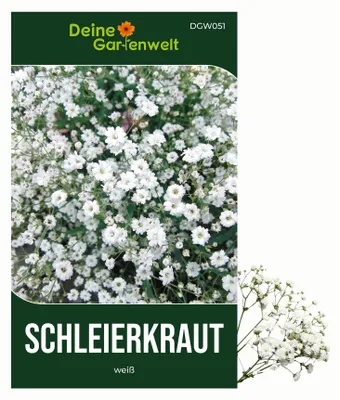 Produktbild von Stauden-Schleierkraut weiß Samen - Gypsophila paniculata - Stauden-Schleierkrautsamen - Blumensamen - Saatgut für 200 Pflanzen