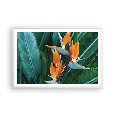 Produktbild von Gerahmtes Poster - Weißer Rahmen - Himmlisch Vogel Blume - 91,5x61 cm - Wand Bild - Wanddeko - Wandbilder - Kunstposter - Wandposter - Bilderrahmen - Bilder - Kunstdruck - P2WAA91x61-4980