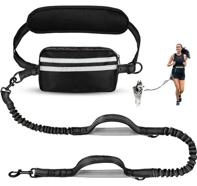 Produktbild von Hunde-Joggingleine mit Hüftgurt