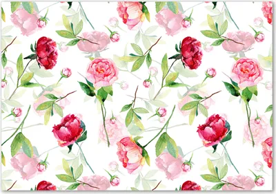 Produktbild von Tulup® Glas-Bild - 100 x 70 - Wandbild aus Glas - Wandkunst - Wandbild hinter gehärtetem Sicherheitsglas - Blumen & Pflanzen - Rosa Pfingstrosen - Rosa