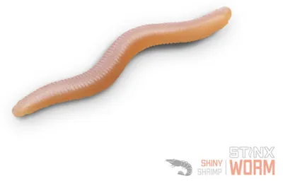 Image de DELPHIN B! StinxWORM Shrimp, leurre souple, 4 cm, Skiny, 50 pièces, 101003007