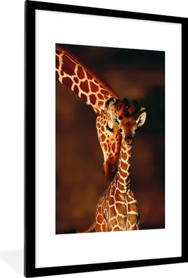 Produktbild von MuchoWow® MuchoWow® Gerahmtes Poster Giraffe - Kalb - Porträt 60x90 cm - Poster mit zchwarzem Bilderrahmen - Dekoration - Wandposter Wohnzimmer - Hochwertig