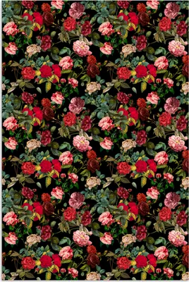 Produktbild von MuchoWow® Poster Blumen - Rot - Rosen 40x60 cm - Plakate für die Wand - Poster Babyzimmer