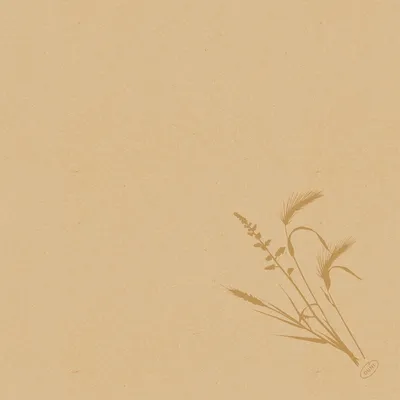 Produktbild von Duni Dunisoft, Beige, Muster, 400 mm, 400 mm, 60 Stück(e), 205 mm