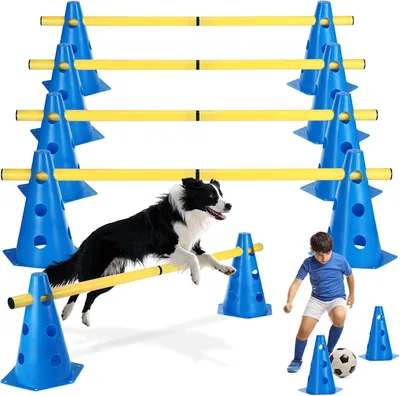 Obrázek produktu pro Agility sada pro psy, vhodná do zahrady, se zátaráskami a překážkami, pro venkovní použití, pro psy všech plemen
