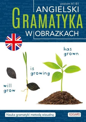 Immagine prodotto di Angielski. Gramatyka w obrazkach