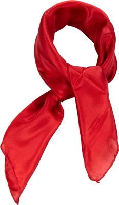 Produktbild von Nickituch Seidentuch rot tiefrot Seide 53x53cm