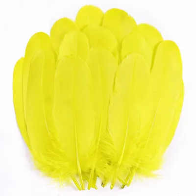 200 gelbe Gänsefedern 12-15 cm zum Basteln