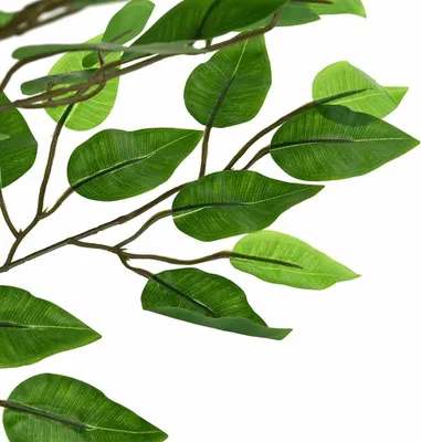 Image de vidaXL Ficus Artificiel 1260 feuilles 200 cm Vert