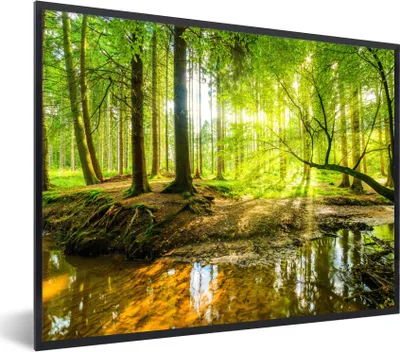 Produktbild von MuchoWow® Gerahmtes Poster Wald - Landschaft - Wasser - Bäume - Sonne - Grün - Natur 80x60 cm - Poster mit Schwarzem Bilderrahmen Wandposter Rahmen Foto Bilder - Schwarzem - Mit Gestell