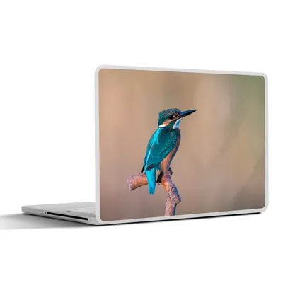 Produktbild von MuchoWow® Laptop Aufkleber Sticker Cover Eisvogel - Porträt - Zweig 30x21 cm - Sticker für Laptop - Selbstklebend