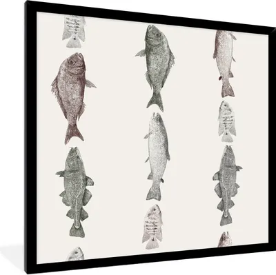 Produktbild von MuchoWow® Gerahmtes Poster Vintage Illustration einer Reihe von Fischen 40x40 cm - Poster mit Schwarzem Bilderrahmen Wandposter Rahmen Foto Bilder - Mit Rahmen - Wanddekoration Schlafzimmer