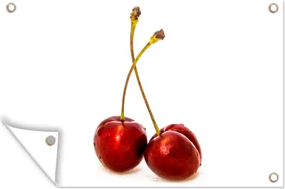 Produktbild von MuchoWow®