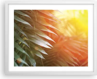 Produktbild von Gerahmtes Poster - Weißer Rahmen - Exotisch Blätter Dämmerung - 50x40 cm - Wand Bild - Wanddeko - Wandbilder - Kunstposter - Wandposter - Bilderrahmen - Bilder - Kunstdruck - P2WAA50x40-4807
