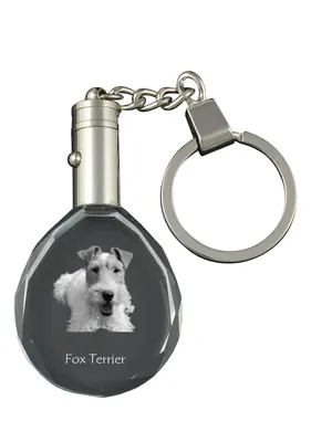 Produktbild von Fox Terrier Drahthaar, Foxterrier - Anhänger mit einem Foto eines Hundes, Schlüsselanhänger aus Kristall in einer Geschenkbox, ein einzigartiges Geschenk von Art-Dog