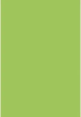 Image de BRUNNEN 105123550 Papier multifonctionnel Papier universel A4 vert clair