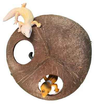 Immagine prodotto di Roccia decorativa per gechi, adatta per rettili