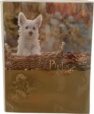Zdjęcie produktu dla Concorde Album na 64 zdjęcia, 10 x 15 cm