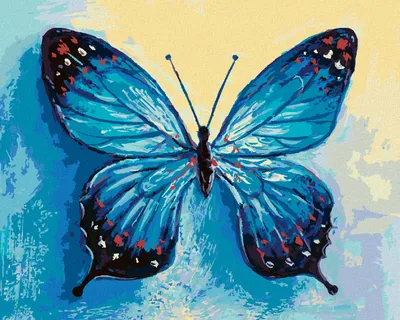 Produktbild von Zuty - Malen nach Zahlen - BLAUER SCHMETTERLING, 40x50 cm, ohne Keilrahmen