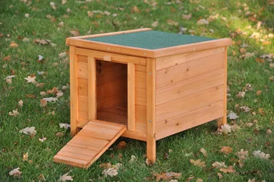 A wooden pet house with a green roof sits on a grassy lawn with fallen leaves.