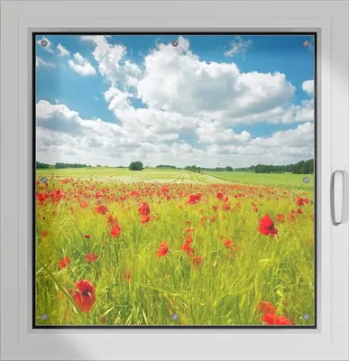 Produktbild von Wallario Lichtschutzbild, Dekorativer Sichtschutz Sonnenschutz 96 x 93 cm mit Motiv: Grüne Wiese mit Mohnblumen - Verdunklung ohne Bohren
