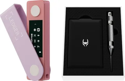 Produktbild von Ledger Nano X Pastellrosa + Cryptotag Loki im Paket