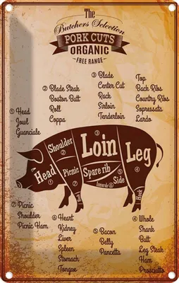 Produktbild von vianmo Blechschild 18x12 cm Schwein Pork cuts organic Metzgerei Hofladen Marktstand Laden