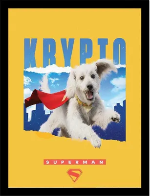 Image de Superman - Poster encadré, crypto PM12245 (45 cm x 35 cm) (Coloré)