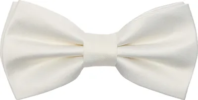 Produktbild von Ladeheid Herren Schmale Herrenfliege M (12cm x 6cm)