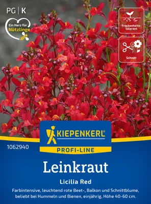 Produktbild von Kiepenkerl Leinkrautsamen Licilia Red Linaria maroccana 200 Pflanzen