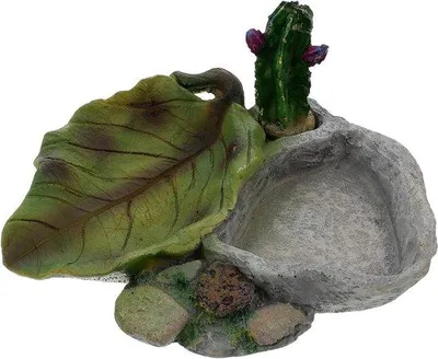 Produktbild von Schildkröten-Trinknapf – Futterbehälter für Reptilien – Zum Servieren von Futter – Material: Harz – 14 x 12,5 x 8 cm – Grau