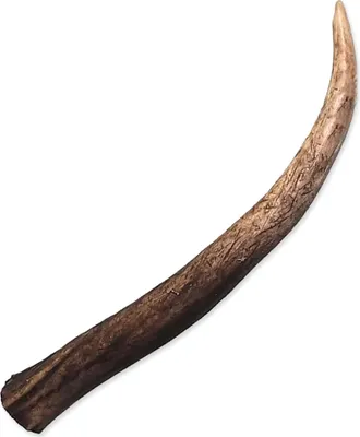 Immagine prodotto di Trattamenti per cervi Paroh S 1 pezzo