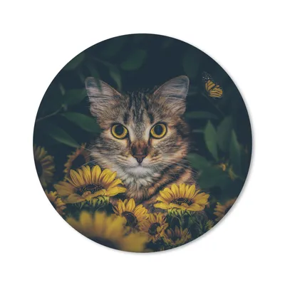 Produktbild von MuchoWow® Mauspad Mousepad Katze - Gelb - Blumen - Botanisch 40x40 cm - Mousepads - Maus Mat - Pad - Mausunterlage - Schreibtisch Accessoires
