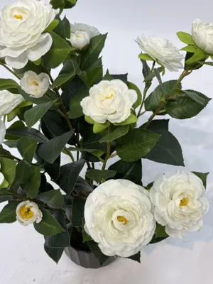 Imagen del producto de Camelia artificial en maceta, 90 cm de altura, color blanco. Planta artificial realista para interior, oficina y terraza, que no requiere cuidados