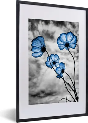 Produktbild von MuchoWow® MuchoWow® Gerahmtes Poster Blumen - Blau - Schwarz - Weiß 40x60 cm - Poster mit zchwarzem Bilderrahmen - Poster in Rahmen