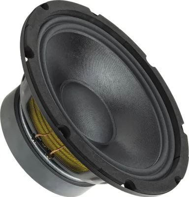 A close-up, angled view of a speaker driver.