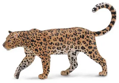 Immagine prodotto di COLLECTA Afrikanischer Leopard - (XL)