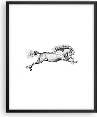 Produktbild von Gerahmtes Poster - Schwarzer Rahmen - Pferd Zeichnung Bleistift - 40x50 cm - Wand Bild - Wanddeko - Wandbilder - Kunstposter - Wandposter - Bilderrahmen - Bilder - Kunstdruck - P2BPA40x50-4906