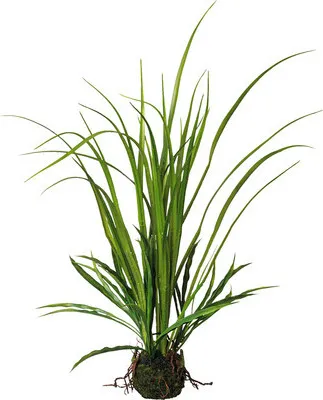 Obrázok produktu pre Umelá rastlina lúčna tráva s balom 71 cm