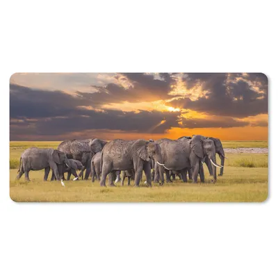 Produktbild von MuchoWow® Mauspad Mousepad Elefant - Tiere - Gras - Sonnenuntergang - Natur 60x30 cm - Mousepads - Maus Mat - Pad - Mausunterlage - Nachhaltig