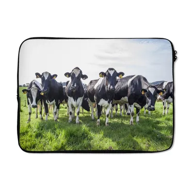 Produktbild von MuchoWow® Laptop Hülle 14 ZollKühe - Licht - Frühling Laptoptasche - Laptoptasche - Stoßsicher - Schutzhaube