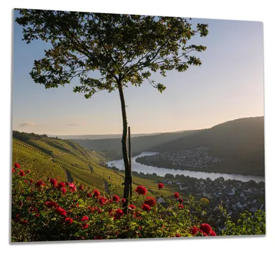 Produktbild von Wallario Herdabdeckplatte aus Glas, Größe 60 x 52 cm 1-teilig, Motiv Fluss im Abendlicht