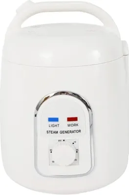 Zdjęcie produktu dla Generator pary, konstrukcja przenośna, 60-minutowy timer, BIAŁY