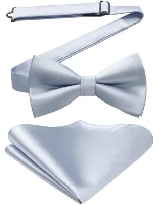 Produktbild von Fliege mit Einstecktuch Set Herren Vorgebunden Silber Polyester-Seide
