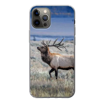 Produktbild von MuchoWow® Handyhülle Schutzhülle Hülle für iPhone 12 Pro Hirsche - Elche - Gras Silikon Softcase Handy Hülle - Abdeckung