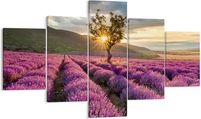Produktbild von Bild auf Leinwand - Leinwandbild - Lavendel Berge Feld - 125x70cm - Wand Bild - Wanddeko - Leinwanddruck - Bilder - Kunstdruck - Wanddekoration - Leinwand bilder - Wandkunst - EA125x70-3645