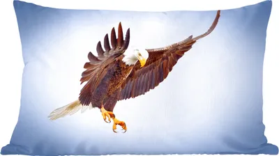 Produktbild von MuchoWow® Zierkissen Sofakissen Wohnzimmer Dekokissen 60x40 cm Ein Weißkopfseeadler am blauen Himmel - Kopfkissen - Polster mit Foto